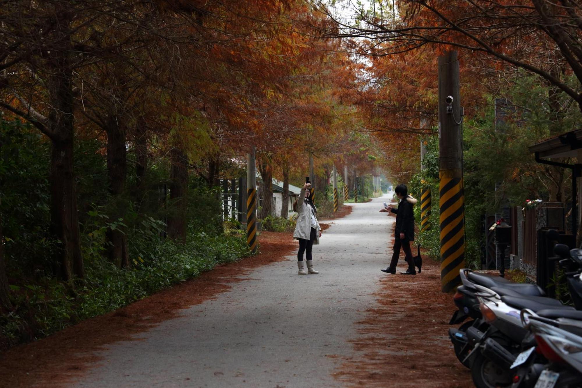 Fengshan  Grace Garden Villa מראה חיצוני תמונה